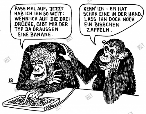 Zwei intelligente Affen