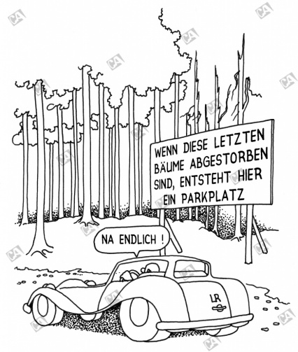 Baumsterben für Parkplätze