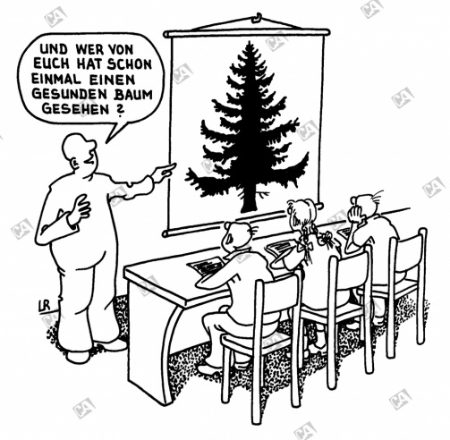 Lehrer zeigt den Schülern einen gesunden Baum